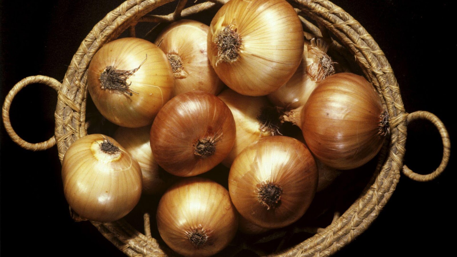 Купити цибулю на посадку